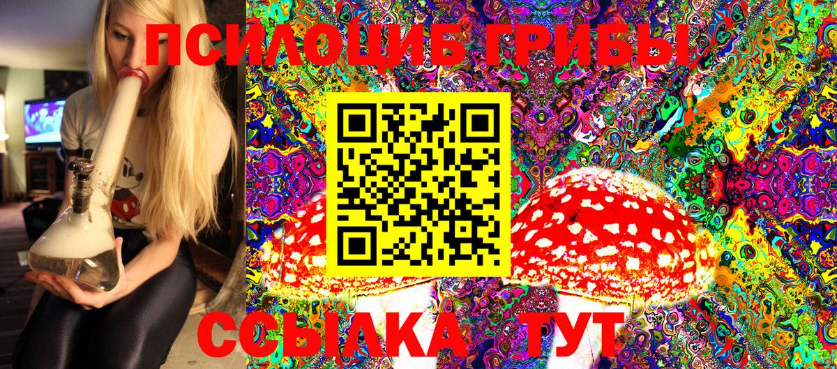 Галлюциногенные грибы Psilocybe  Галлюциногенные грибы Cubensis  Бирск  Вход с VPN 