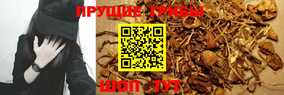 Галлюциногенные грибы ЛСД Бирск